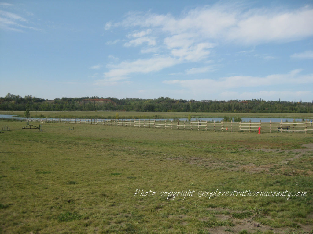 Fort Saskatchewan Off Leash Dog Park