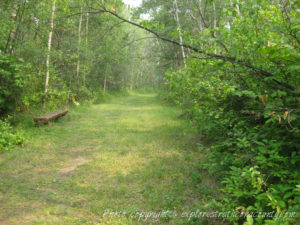 Old Edmonton Trail Sherwood Park Natural Area