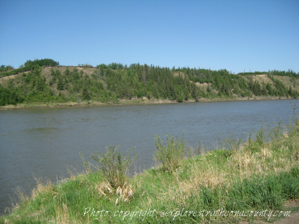 Riverside Nature Trail Strathcona County