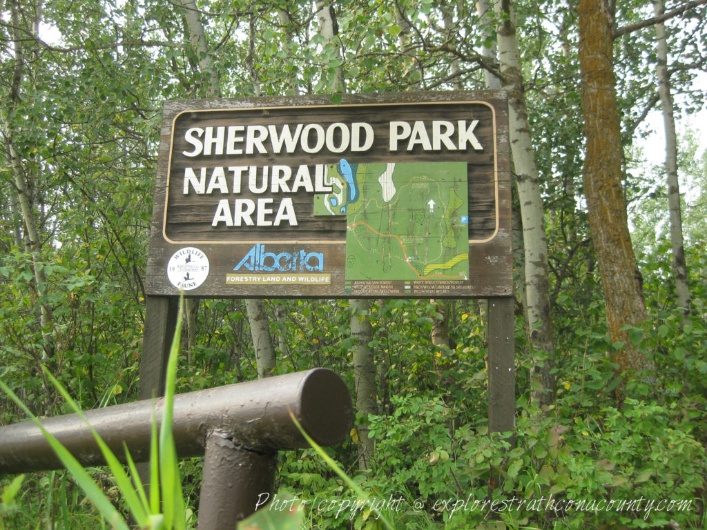 Sherwood Park Natural Area