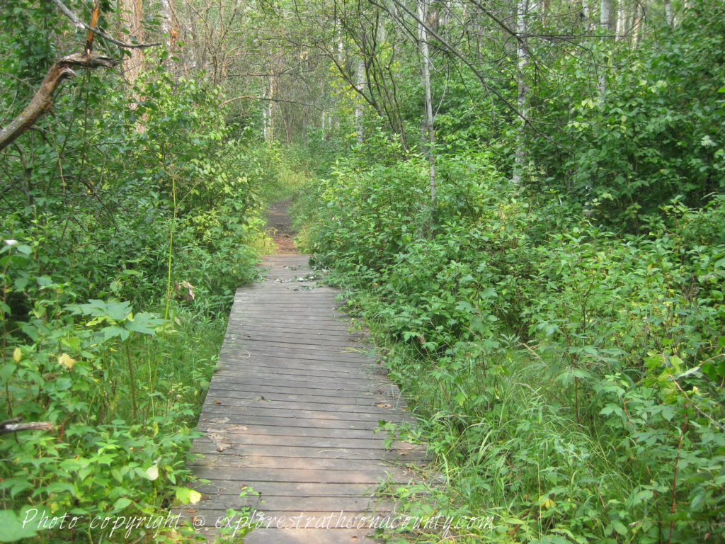 Sherwood Park Natural Area