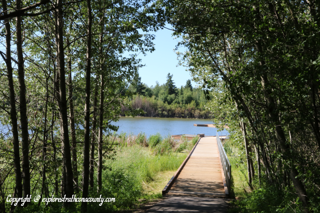 boardwalk at a lake