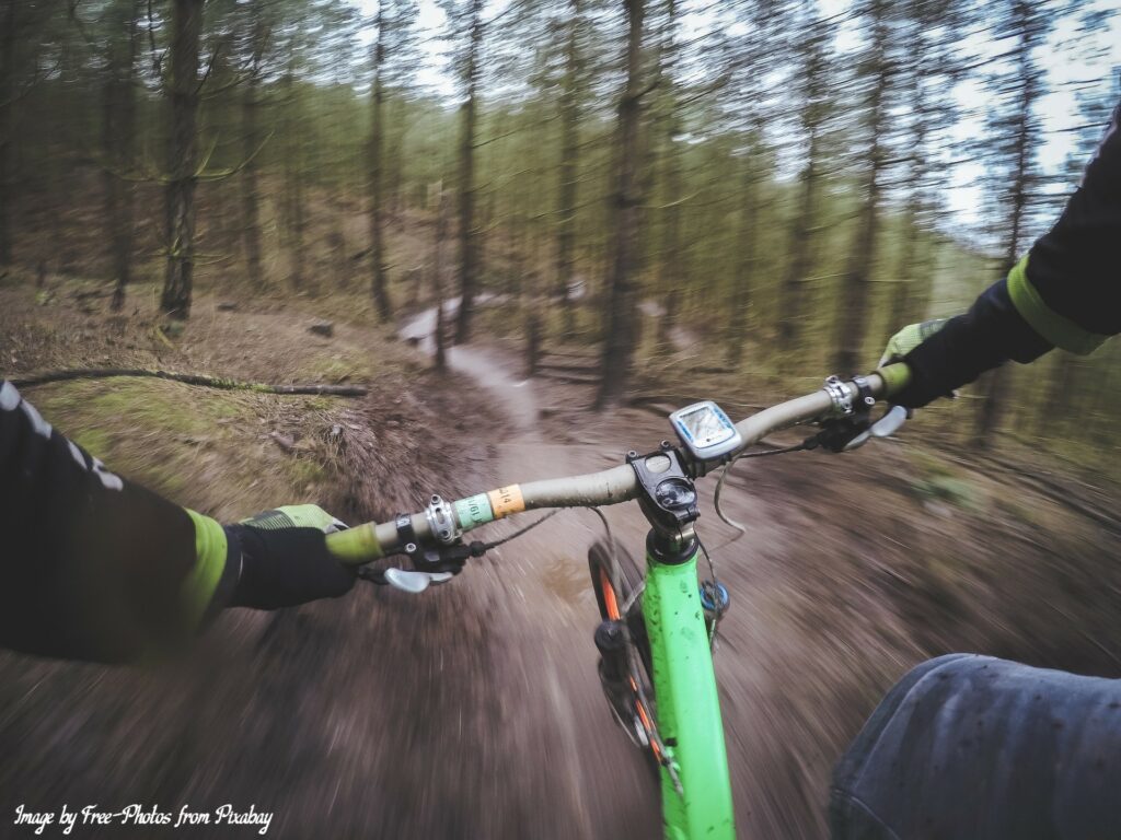 mountain biker in the forest