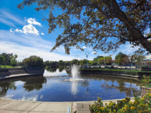 fountain in a park