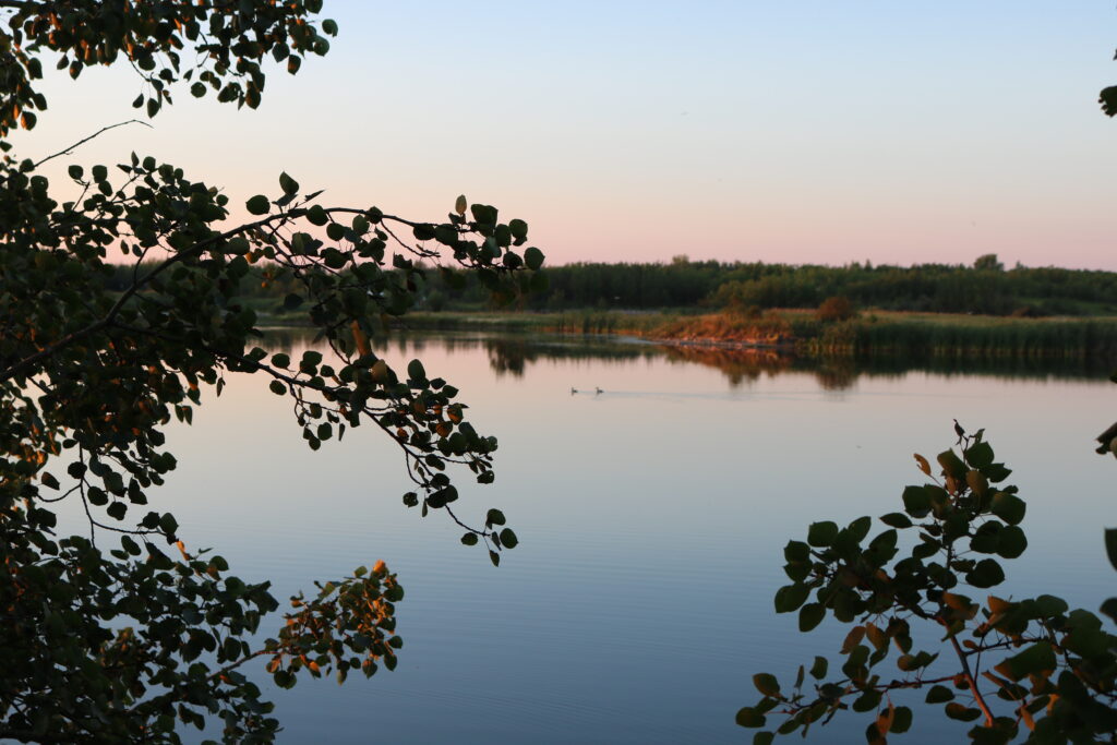 Black Nugget Lake (2) 