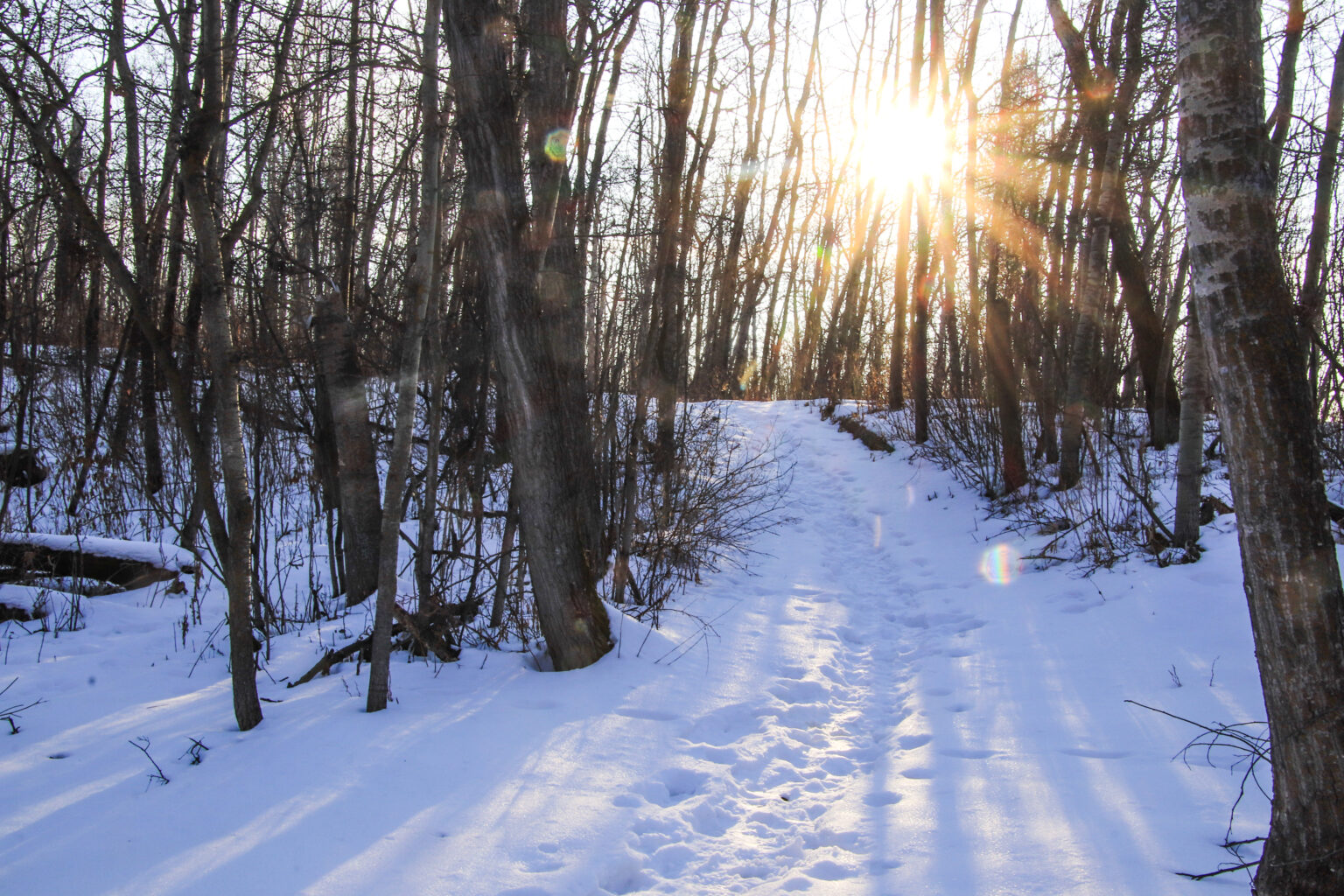 Miquelon in the winter winter walking path