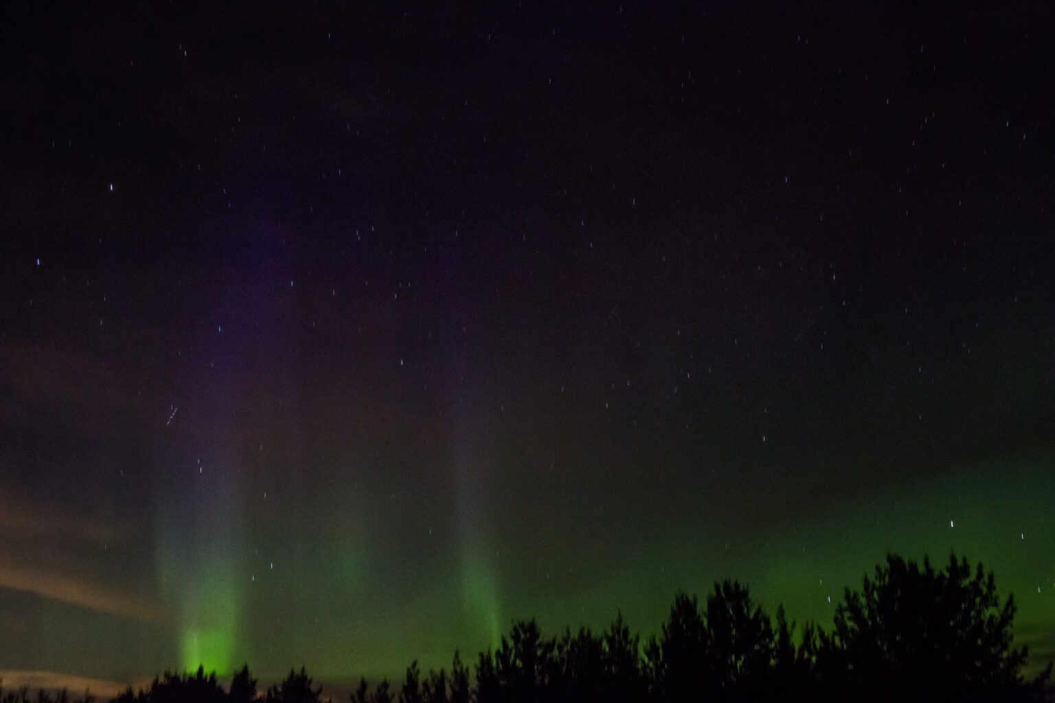 Ambassador_Kelsy Nielson10 Northern Lights in the forest