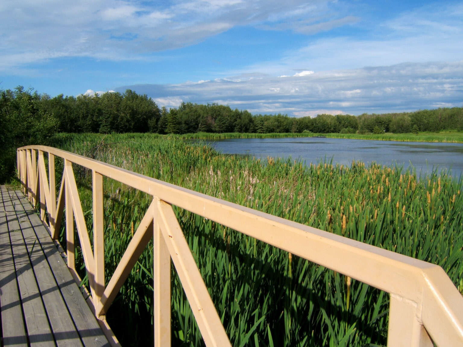 Miquelon Grebe Pond bridge cecilia.goncalves picture of a pond and bridge