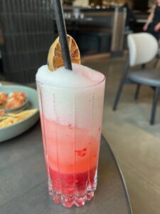 IMG_8431 cocktail hour at Pyro