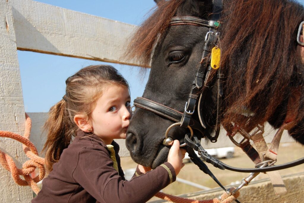 little girl kissing a pony