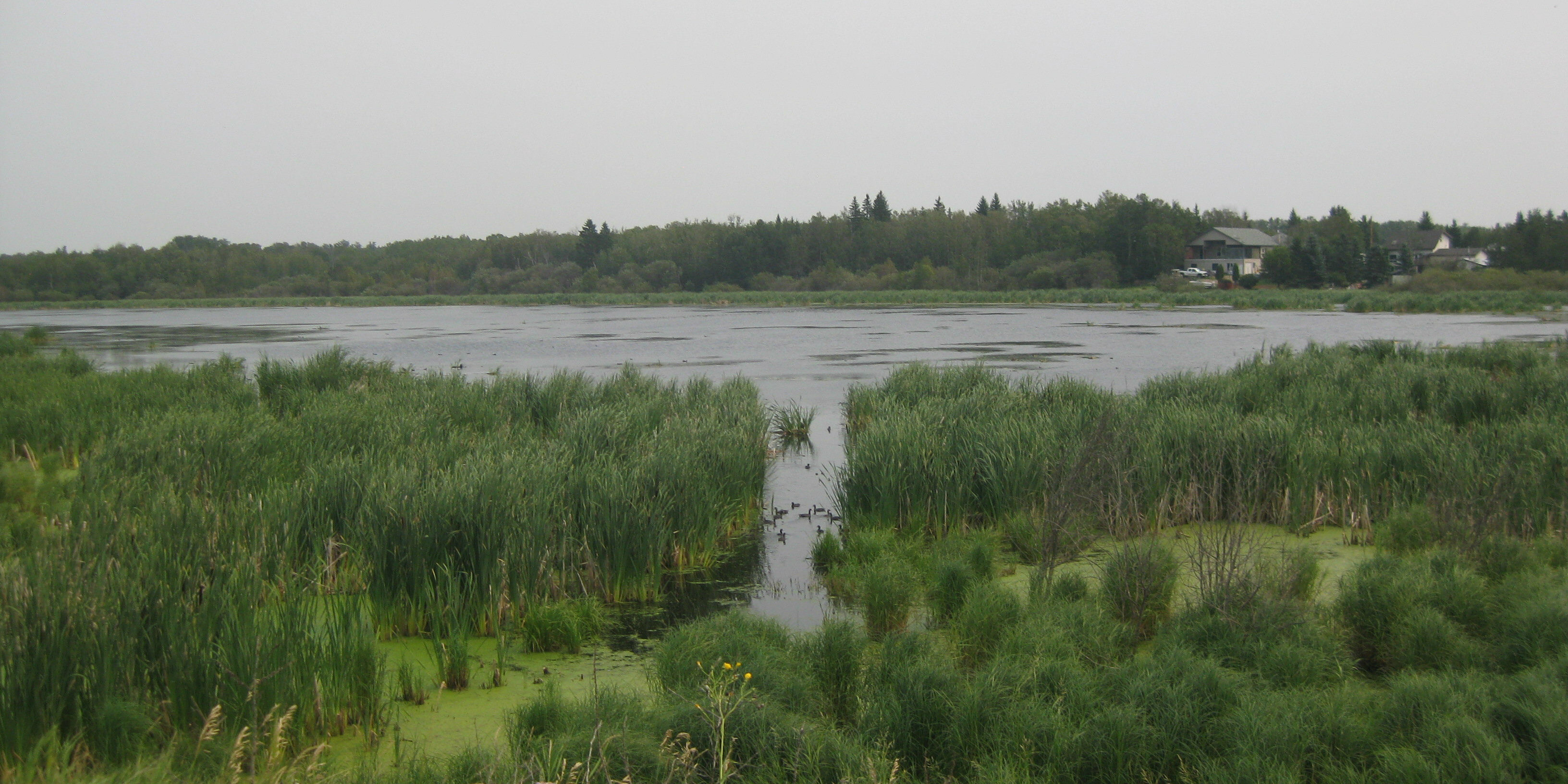 Antler Lake Strathcona County