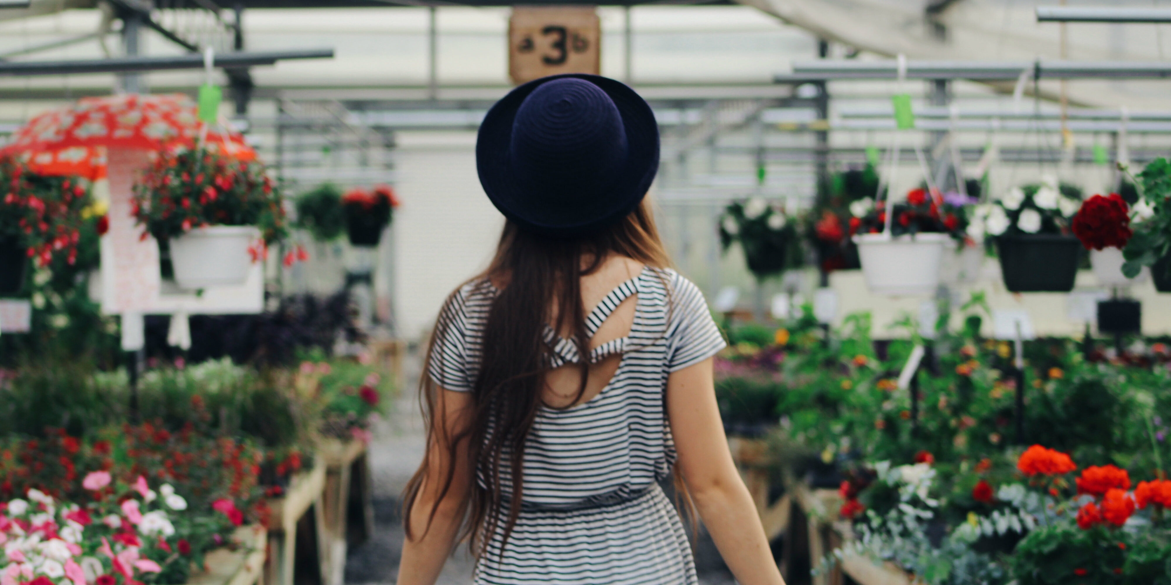 strathcona county greenhouse shopping